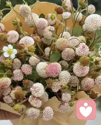 今日心得：
人生是一本书，有尺寸大小之分，有装饰繁简之分，有内容深浅之分…
有书尺寸中矩，装饰随意，内容确精彩纷呈，不打开书本就无法见识其深意；
有书内容潦草，尺寸一般，装饰确精美绝伦，看上一眼封面就觉得赏心悦目；
有书内容极简，没有装饰，内容仅酸甜苦辣，从中能品味百般不同组合滋味…
再我看来，书没有标准定义，有用就行。人生亦是如此，自己觉得可行就可以