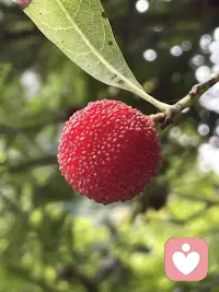 仁者见仁智者见智，
何须烦恼仁者不见智，智者不见仁配图