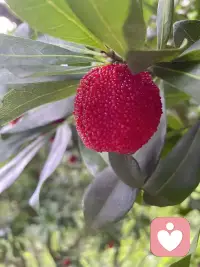 想发点什么，又不知道要发点什么？
那就随缘吧，允许自己脑袋空空～配图