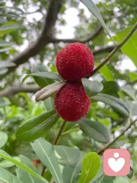 想发点什么，又不知道要发点什么？
那就随缘吧，允许自己脑袋空空～配图