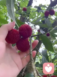 想发点什么，又不知道要发点什么？
那就随缘吧，允许自己脑袋空空～配图