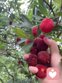 想发点什么，又不知道要发点什么？
那就随缘吧，允许自己脑袋空空～配图
