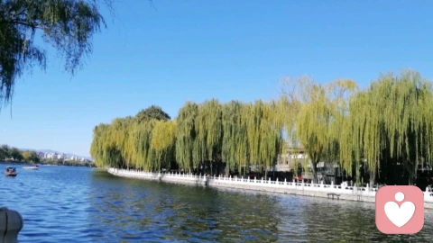 不要高估你在别人心目中的位置\n人这一生最大的执念,莫过于错估自己在他人心里的分量。我们总习惯性高估彼此的情谊,以为真心交付就能换来同等对待,以为长久相伴便是无