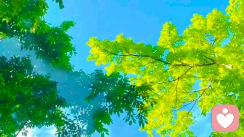 送给朋友一句话，人生最重要的不是做对了多少选择，而是没有做错多少选择，所有自己不确定的事尽量不要去做