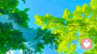 送给朋友一句话，人生最重要的不是做对了多少选择，而是没有做错多少选择，所有自己不确定的事尽量不要去做