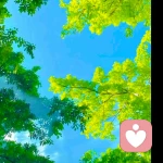 情感规划师的头像