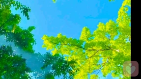 情感规划