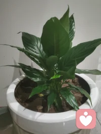 走进心理，突然觉得自己平静了很多，慢慢的让自己从忙碌转为了平静，自己也曾焦虑，也曾迷茫，出来走走，，会好很多