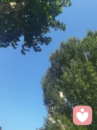 早晨醒来，利用等车时间，抬头看看蓝天，看看白云，听听风声，也是一次正念冥想