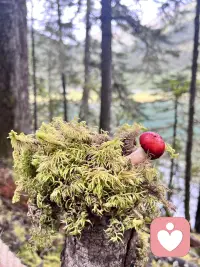 大脑偏爱幻想，因为空想不用面对失误；真正的突破，永远来自主动承接不确定性。