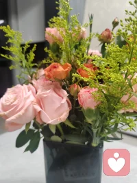 晨起风轻，万事慢慢变好。配图