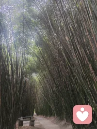 心定，方能抵御风雨； 
蓄力，方能行稳致远； 
境宽，方能从容一生。配图