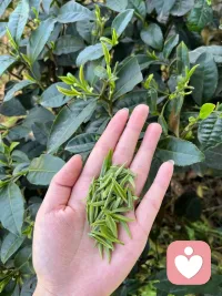 无论人生上到哪一层台阶，唯有平视，才能看见真实的自己