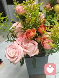如果你活在别人的认可里
你就会死在他们的否定里
