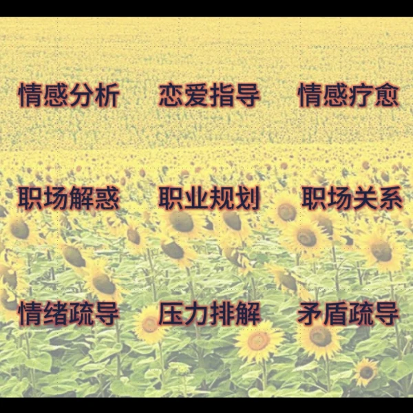 开心哥