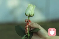 无论遇到多大的事情，都不要让情绪去处理，这辈子最大的修行就是不带任何情绪去处理任何事情。