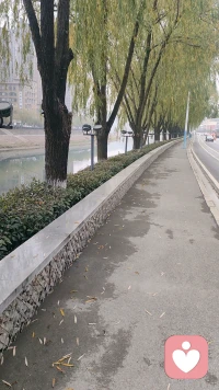 内卷，到处内卷，怎么破局，敢为天下先，做别人不能做的，忍别人不能忍的，天道里的两条线，能是一条线，忍是一条线。