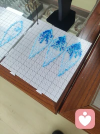 相声心理学
甲：今天跟您合作，我特别高兴。
乙：彼此彼此。
甲：很多人不知道，我不光会说相声，我还懂心理学。
乙：哟？您还懂心理学？
甲：那当然！看人一看一个准。一个人什么脾气、心里想什么，我扫一眼就明白。
乙：这么厉害？那您看看我，我现在在想什么？
甲：看您啊……嗯，您现在，肚子饿了，想吃饭。
乙：哎？还真猜对了！我中午没吃好。
甲：小菜一碟。再换一个，随便来个人我都能看透。
乙：那要是心里藏着事儿，您也看得出来？
甲：越有事，脸上越藏不住。
乙：那我考考您。假如有一个人，天天熬夜，刷手机，白天无精打采。这人心里想什么？
甲：这简单，他心里想：明天一定早睡！
乙：哈哈，还真是！嘴上立志，夜里继续刷。
甲：这叫心理矛盾。再给你说一种。有的人，下定决心要锻炼身体。
乙：那肯定天天跑步运动。
甲：装备买齐，运动服、运动鞋、瑜伽垫，全套置办。
乙：多好。
甲：买完回家往那儿一摆。
乙：开始锻炼。
甲：开始拍照发朋友圈。
乙：啊？就拍照啊？
甲：拍完，运动任务完成，躺沙发刷短视频。
乙：好家伙，仪式感到位，就是不动弹。
 
甲：还有一种人，遇事爱发誓。
乙：发誓？
甲：下次再也不乱花钱！再乱花钱我就是小狗！
乙：决心挺大。
甲：转过天看见喜欢的东西，哎呀这真好看，就买这一回，就一回！
乙：那誓言呢？
甲：汪汪。
乙：哎？！直接当上狗了！
 
甲：心理学讲究，人都有双重标准。
乙：双重标准？
甲：轮到自己：我只是偶尔放纵。轮到别人：这人太没有自制力！
乙：太真实了。
甲：看到别人成功：他就是运气好。自己成功：那全凭我实力过硬。
乙：那别人失败呢？
甲：别人失败，这人不够努力。我失败，都怪外界条件不好。
乙：嘿，全让您给总结了！
 
甲：这都是心理学！我研究好几年。
乙：听着挺有道理，那您给自己看看？您是什么心理？
甲：我？我心态特别好，遇事不生气，从来不抬杠，为人谦虚，说话好听，人人都夸我。
乙：真的？
甲：只要别人都顺着我说，我就完美。
乙：那要不顺着您呢？
甲：那就是别人心理有问题！
乙：去你的吧！