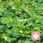 你说我听的头像