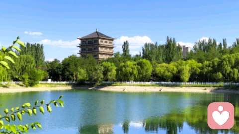 银发离婚潮:退休不是婚姻终点,是迟来的自我觉醒与心理突围