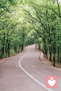 用心倾听，梳理情绪，暖心陪伴！