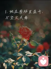 岁月淬炼，终与自己和解。从前总想讨好世界，如今只专注内心。慢慢懂得，女性的成长从不是活成别人期待的模样，而是接纳不完美，守住热爱。独立、清醒、温柔且有力量，步步前行，活成自己的光。配图