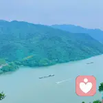 灵动贝壳🍮的头像