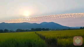 晚风企鹅🐞