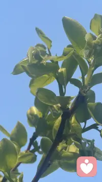 一个正常的人 一生一个朋友都没有 如果你相信自己有很多朋友 你肯定不是正常人配图