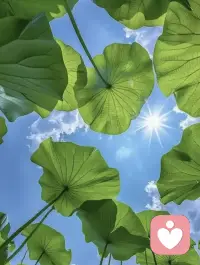 今日分享：
愤怒是一种信号：你正在遭受攻击和挫折，你的
边界被侵犯，同时也是一种相信自己能够改变的
底气。
心理学家艾耶• 古罗 • 勒内说过：我们必须要倾
听自己的愤怒，因为它能帮助我们保持个性的完
整，这正是愤怒的意义：它用一种不那么舒服的方
式让你知道自己想要什么，不想要什么，你的边
界在哪里。