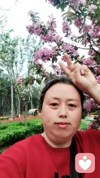 大家好，我是倾听师阿云，有需要倾诉的呼我哦，电话19511992625配图