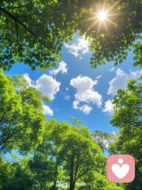以前觉得沟通很重要，后来发现共鸣才是绝
杀，也渐渐明白，人和人的争辩是没有意义
的，每个人都只活在自己的认知里，你不必把
时间浪费在向一个不懂你的人解释你的全世
界。不是所有表达都需要回应，不是所有理解
都需要强求，若无共鸣，沉默即安。