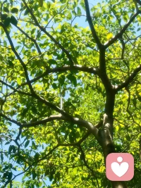 太喜欢这句话了:喜欢自己比喜欢这个世界更重要，不必成为任何人，我就是最棒的模样，以前的过往以成为你的㡳气，你努力又真诚，你真的很了不起，我不追光，我就是光！！！