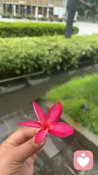 大起大落后，你会发现，你帮过的人，不一定会帮你，但帮过你的人，还会再帮你。从云端到地面后，脚下更踏实，便不缺从头再来的勇气！配图