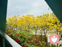 每个人，都有一些时候感到深深的无力感，这个时候，每个人的选择也不一样，有些人选择颓废，反正什么也做不了，就这样吧，而有的人却继续保持积极，做好该做的事情。可以理解为当你承认你的无力感的时候，才会更有动力做好你能做的事。配图