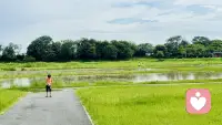 当自己不够强大的时候，外界的人包括你的家人会给你很多不好的眼神跟感受，那又如何，不必在意，不必在意，只要你依然感受好，那难受的就是对方。配图