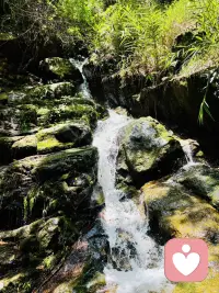 我们赋予孩子生命，孩子丰盈我们余生。他用温柔治愈你的内耗，用缺点警醒你的不足，用成长倒逼你的蜕变。不必总纠结付出多少，也不必强求孩子活成你期待的模样。