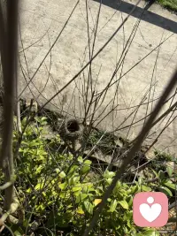 让自己停下脚步👣看看这个世界的美好