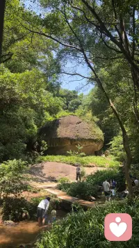 允许自己慢下来，看清事情的本质，不慌不慢的实现人生价值