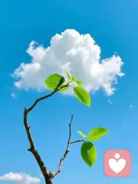 在人生道路上，个人能力固然很大程度影响我们前进的步伐和速度，但起决定性作用的是我们对于自我情绪的良好控制力。