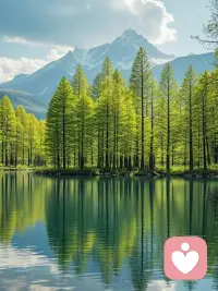 在过去的时间里，你是否反思过？过去你之所以你从未快乐过，关键在于你总把逝去的一切看得比实际情况更好；总把眼前发生的一切想的比实际更糟；总把未来的前景描绘得过分乐观，而实际却无法到达。如此渐渐地形成了恶性循环，自然钻入了庸人自扰的怪圈。