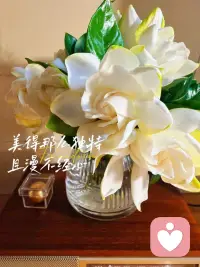 窗台的栀子开了，层层叠叠的花瓣，干净又素雅。
它安静伫立，不与繁花争艳，只独守一方清芬。
生活本就琐碎繁杂，我们总容易步履匆匆。
不妨学学这株栀子花，沉下心，放缓脚步。
用心感受当下的点滴美好，把日子过得温柔又从容。配图