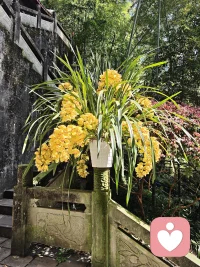 我的老师说过，大部分人都会有一个能力，就是能看到一个人的发展轨迹，具体的来说是：是能看到一个人的潜意识对一个人长久的影响。
也就是如荣格所说：除非你让潜意识变得有意识，否则它将主导你的人生，而你会称其为命运!配图