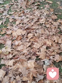 成长的方向，是独立人格 
进步的标志，是自由宽容

所有你遇到的难题
都是为你量身定做的考卷 
别怕，这些试炼的终点
是花开万里

愿你以渺小启程
以伟大结束 

坚持走下去，一定会否极泰来配图