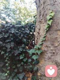 再回首，云遮断归途。再回首，荆棘密布。
纵有真心被辜负，热情被冷却，我依然无悔所有付出。

善待他人，本质是善待自己。我对你好，不是因为你有多好，而是我本来就是一个很好的人。我本热忱向善，这是底气，不是傻气。那些看错的人、撞过的南墙，最终都成了你灵魂的“年轮”——不是伤疤，是生长的印记。


长久的善良是清醒后的选择，受伤后的赤诚是直面人心的勇气。

跌倒就站起，看错就转身。弯路和风雨没有白白消磨，那个真诚的自己一直都在，只是在打磨中，变得更加坚韧而从容。

缘起欢喜，缘尽放手。情出自愿，事过无悔。不负遇见，不谈亏欠。守一份赤诚，度往后余生。

那个跌跌撞撞却始终相信美好的我，比任何时候都耀眼。

沙配图