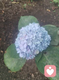 端午安康，邪祟去散。

披荆斩棘，勇往直前。

在今天，把那些不该留在身边的人和事，轻轻放下。这一年，遇过一些消耗你的人，也经过一些让你疲惫的事，让他们都随风飘散吧。

请温柔地告诉自己：从今往后，烂人烂事不配再占据我的心。不再追问为什么，也不再耿耿于怀。有些人，走着走着就散了；有些事，过着过着就淡了。我要做的，只是松开手，继续往前走。

愿往后在每个清晨醒来时，相信今天会比昨天好一点点。永远不要停下脚步，不一定跑得很快，但方向对了，慢一点也没关系。

愿你我都成为那种人——经历过阴霾，依然选择温柔；尝过苦涩，依然相信甘甜。这一程，我们各自努力，高处相见。

端午安康，愿从此清澈明朗，万事胜意。☀️配图