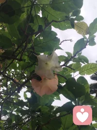 端午安康，邪祟去散。

披荆斩棘，勇往直前。

在今天，把那些不该留在身边的人和事，轻轻放下。这一年，遇过一些消耗你的人，也经过一些让你疲惫的事，让他们都随风飘散吧。

请温柔地告诉自己：从今往后，烂人烂事不配再占据我的心。不再追问为什么，也不再耿耿于怀。有些人，走着走着就散了；有些事，过着过着就淡了。我要做的，只是松开手，继续往前走。

愿往后在每个清晨醒来时，相信今天会比昨天好一点点。永远不要停下脚步，不一定跑得很快，但方向对了，慢一点也没关系。

愿你我都成为那种人——经历过阴霾，依然选择温柔；尝过苦涩，依然相信甘甜。这一程，我们各自努力，高处相见。

端午安康，愿从此清澈明朗，万事胜意。☀️配图