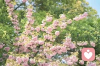 近来常常因为收入不够稳定陷入焦虑，
越发懂得成年人的安全感，大多藏在靠谱的收入里。
一边慌张迷茫，一边试着沉下心打磨自己，
接纳现阶段的起伏，相信用心深耕，终会换来长久稳定的底气。
