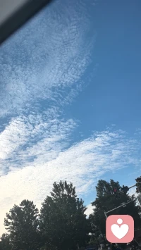 🌞有些花种下去，不需要它冲你开。它自己能好好长，芬芳这个世界，其实就够了。配图