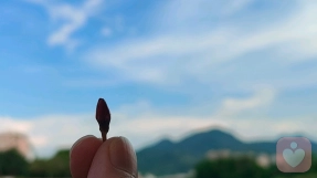 焦虑回避型倾听